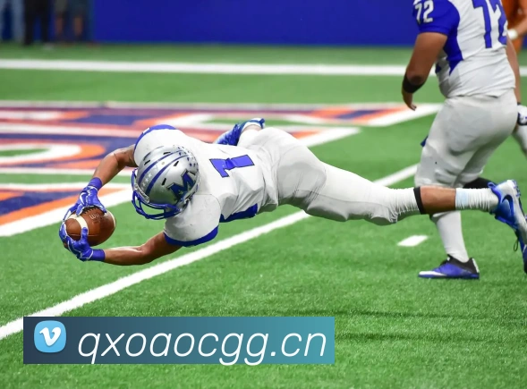 九游网官网入口服务体系